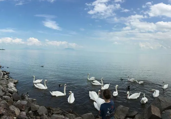 Nyaraló Maximilian Balatonkeresztúr