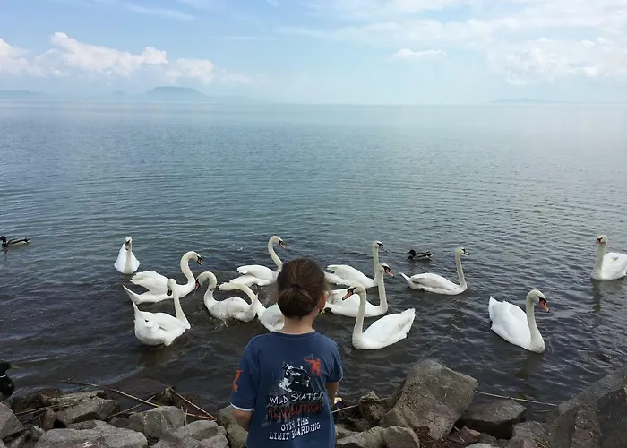 Maximilian Vakantiehuis